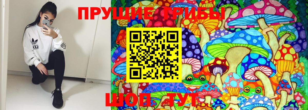 Псилоцибиновые грибы MAGIC MUSHROOMS  Вход с VPN  Моздок 