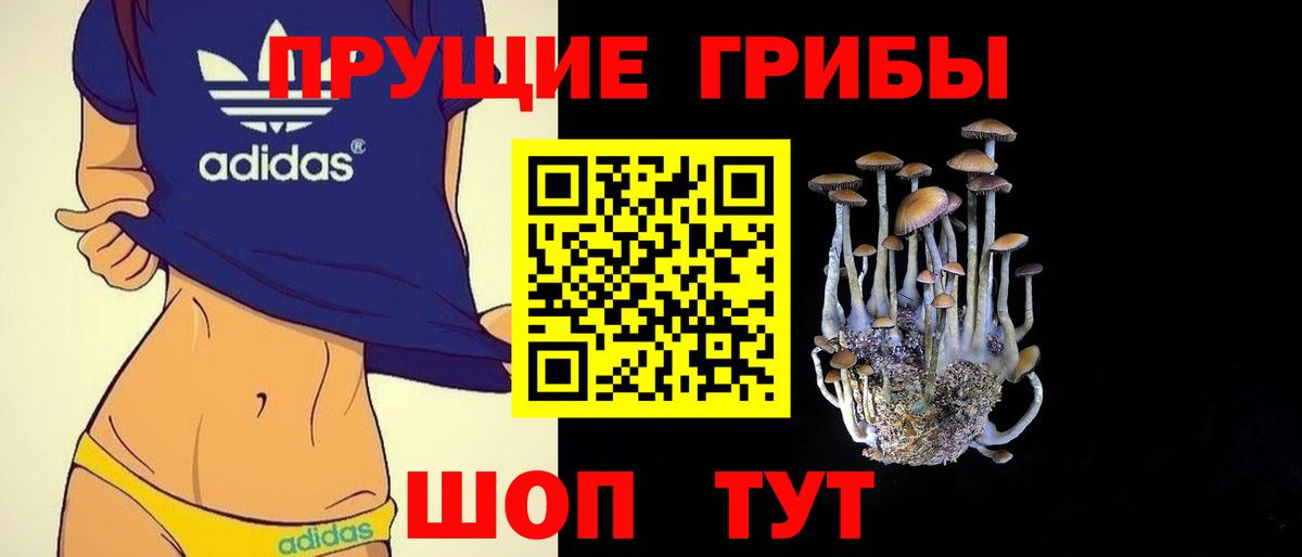 Псилоцибиновые грибы Psilocybine cubensis Моздок